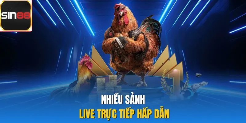 Nhiều sảnh live trực tiếp hấp dẫn