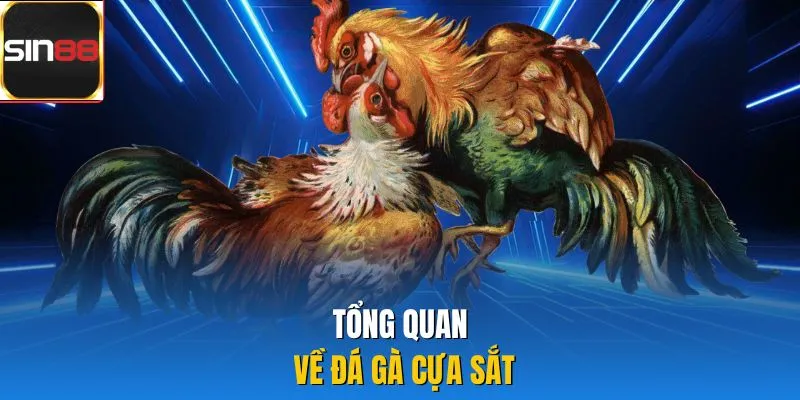 Tổng quan về đá gà cựa sắt